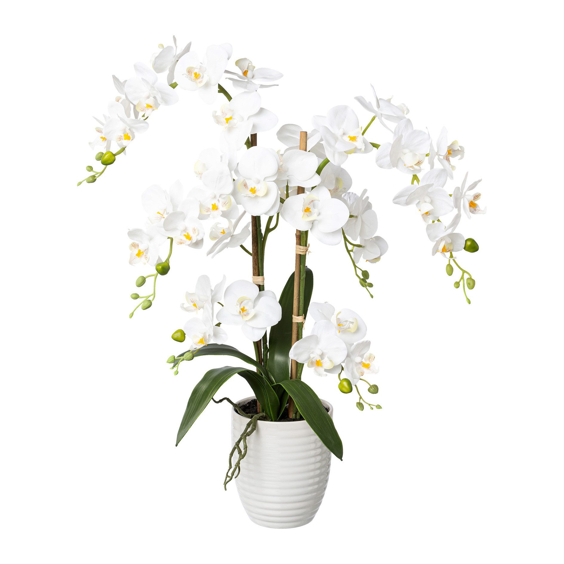 Kunstblume Kunstorchidee Deko-Orchidee Phalaenopsis im Keramiktopf, Höhe 67 cm, Creativ green