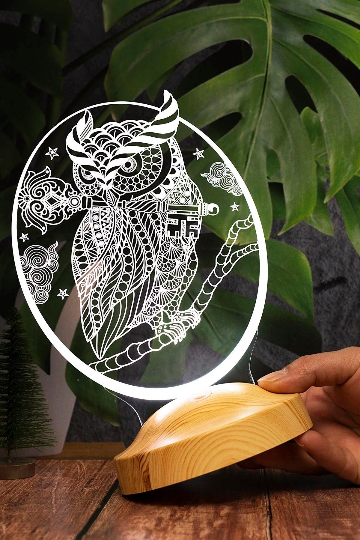 Geschenkelampe LED Nachttischlampe Eule Tier 3D Nachtlicht mit Gravierung Geschenk für Tierliebhaber, Leuchte 7 Farben fest integriert, Eule Fans, Geschenk für Tierfreunde