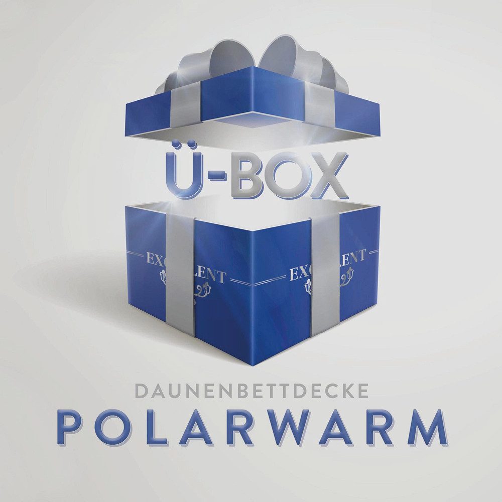 Excellent Daunenbettdecke Überraschungsbox, Füllung: 90% Daunen, 10% Federn, Bezug: Baumwolle, absoluter Sonderpreis, wegen Lagerräumung, Solange der Vorrat reicht