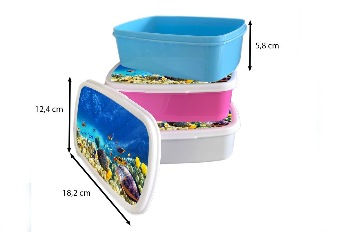 MuchoWow Lunchbox Meer - Unterwasserwelt, Korallen - Brotbox (2-tlg), und Erwachsene, Mädchen und Jungs für Kunststoff, weiß Fische für Kinder - Brotdose