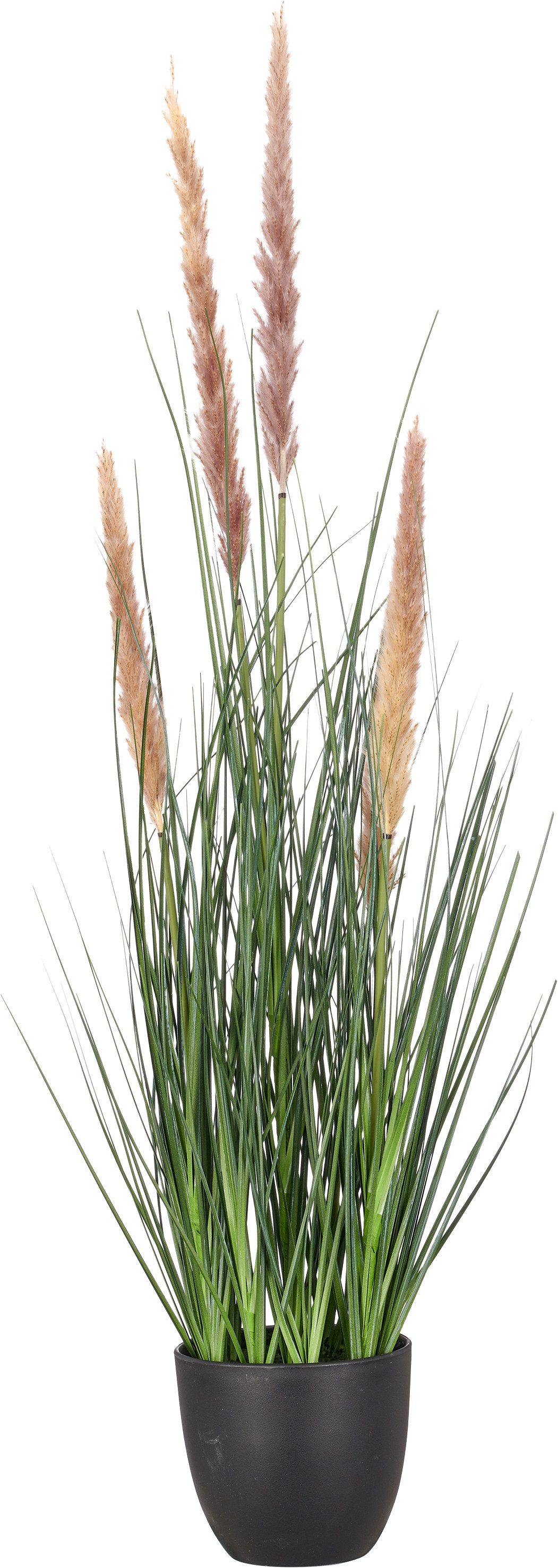 Kunstgras Grasbusch Cortaderia selloana, Creativ green, mit Naturwedeln