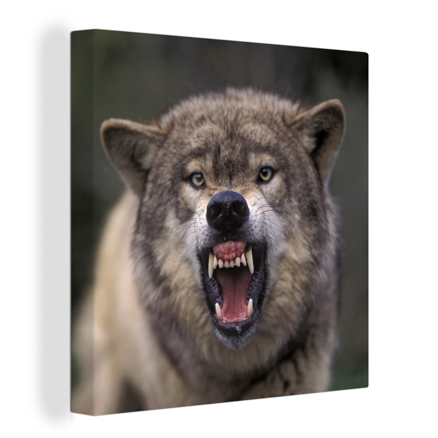 OneMillionCanvasses® Leinwandbild Wolf - Maul - Zähne, (1 St), Leinwand Bilder für Wohnzimmer Schlafzimmer
