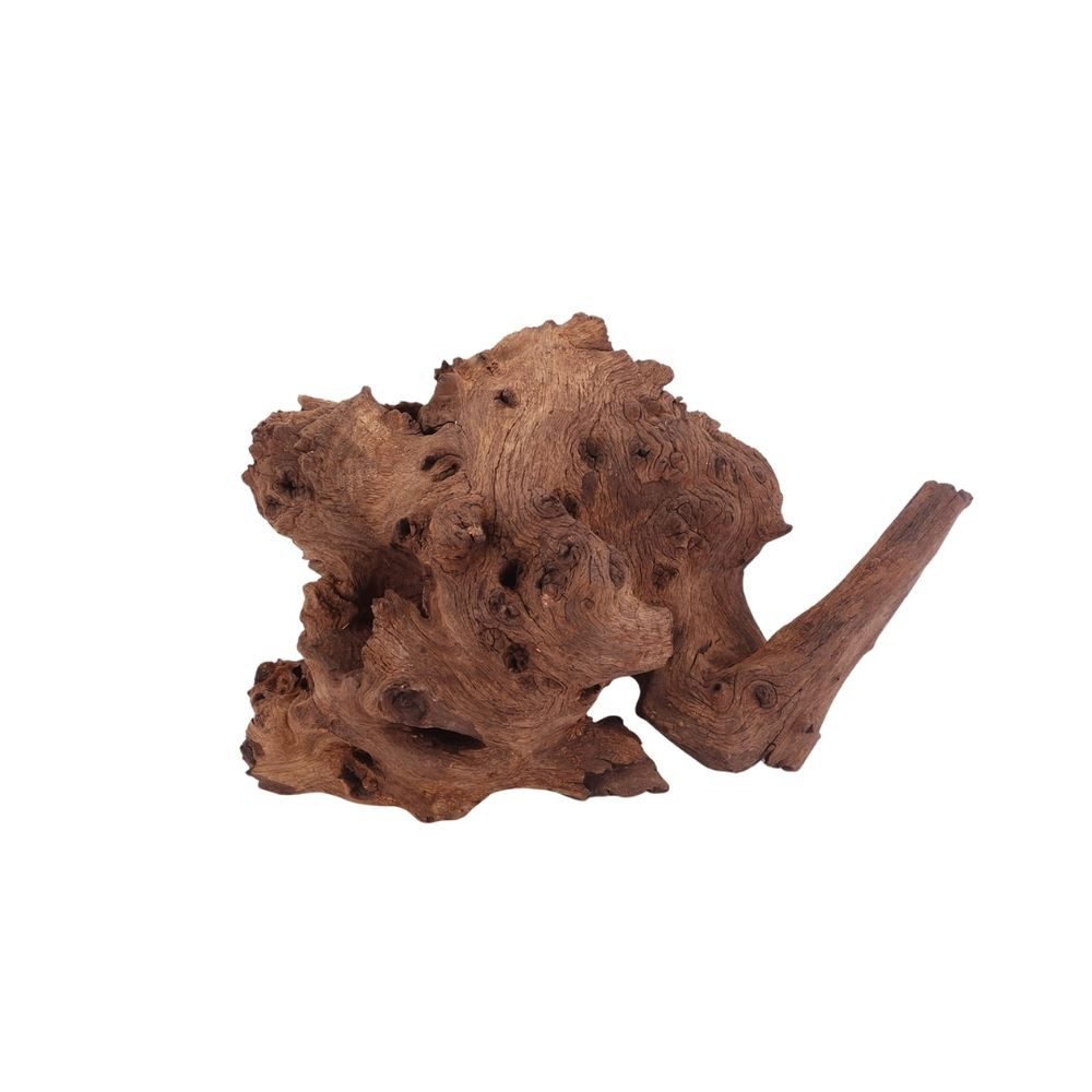 Aquaone Aquarium L Mopani Wurzel Nr.2827 Holz Deko Aquascaping