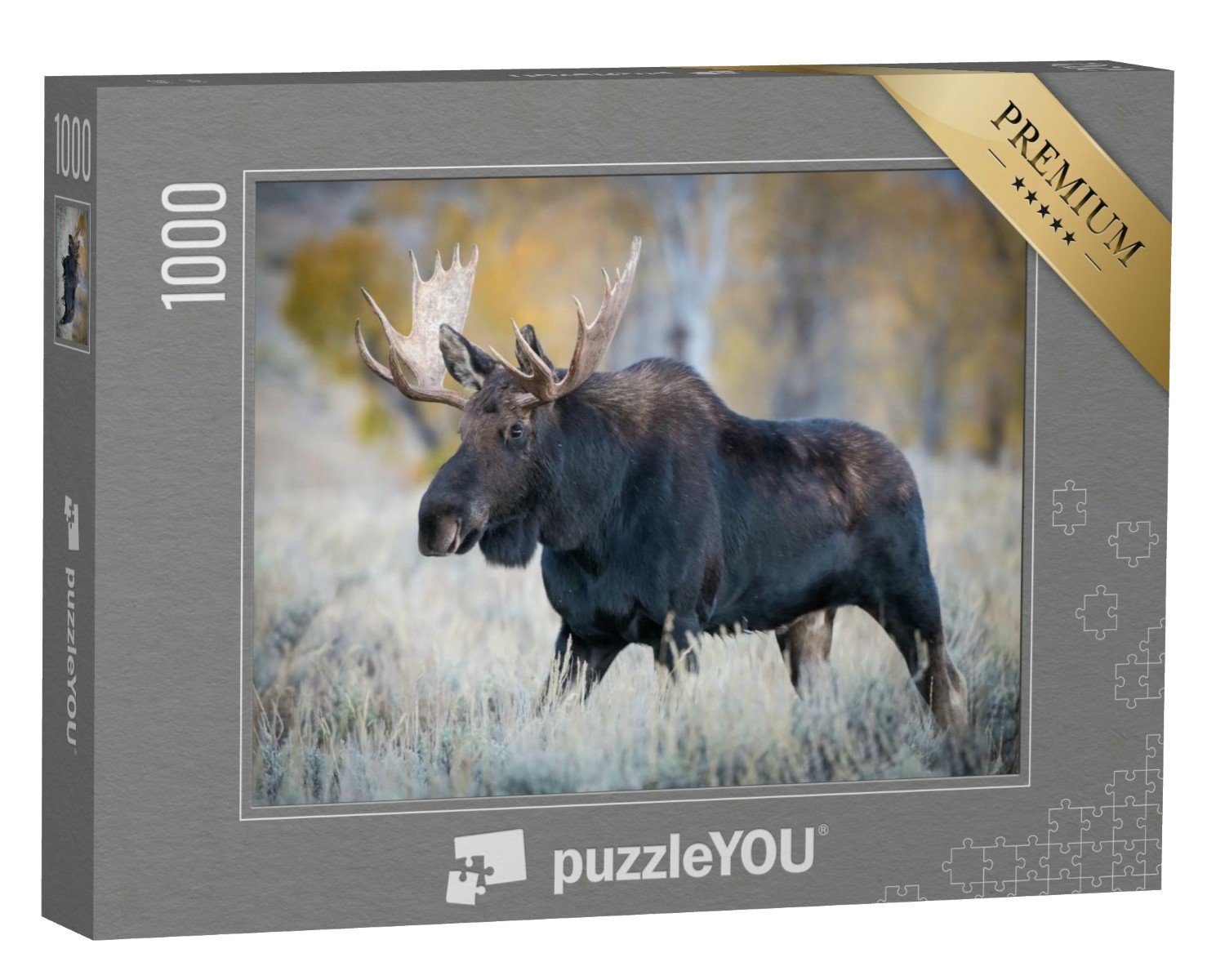 puzzleYOU Puzzle Elch steht im trockenen Gras, Yellowstone, USA, 1000 Puzzleteile, puzzleYOU-Kollektionen Elche, Tiere des Nordens