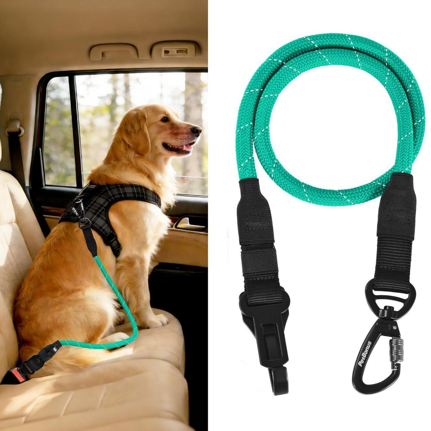 LuxusKollektion Autohundegeschirr Hunde Sicherheitsgurt Anschnallgurt Seil Karabiner Türkis