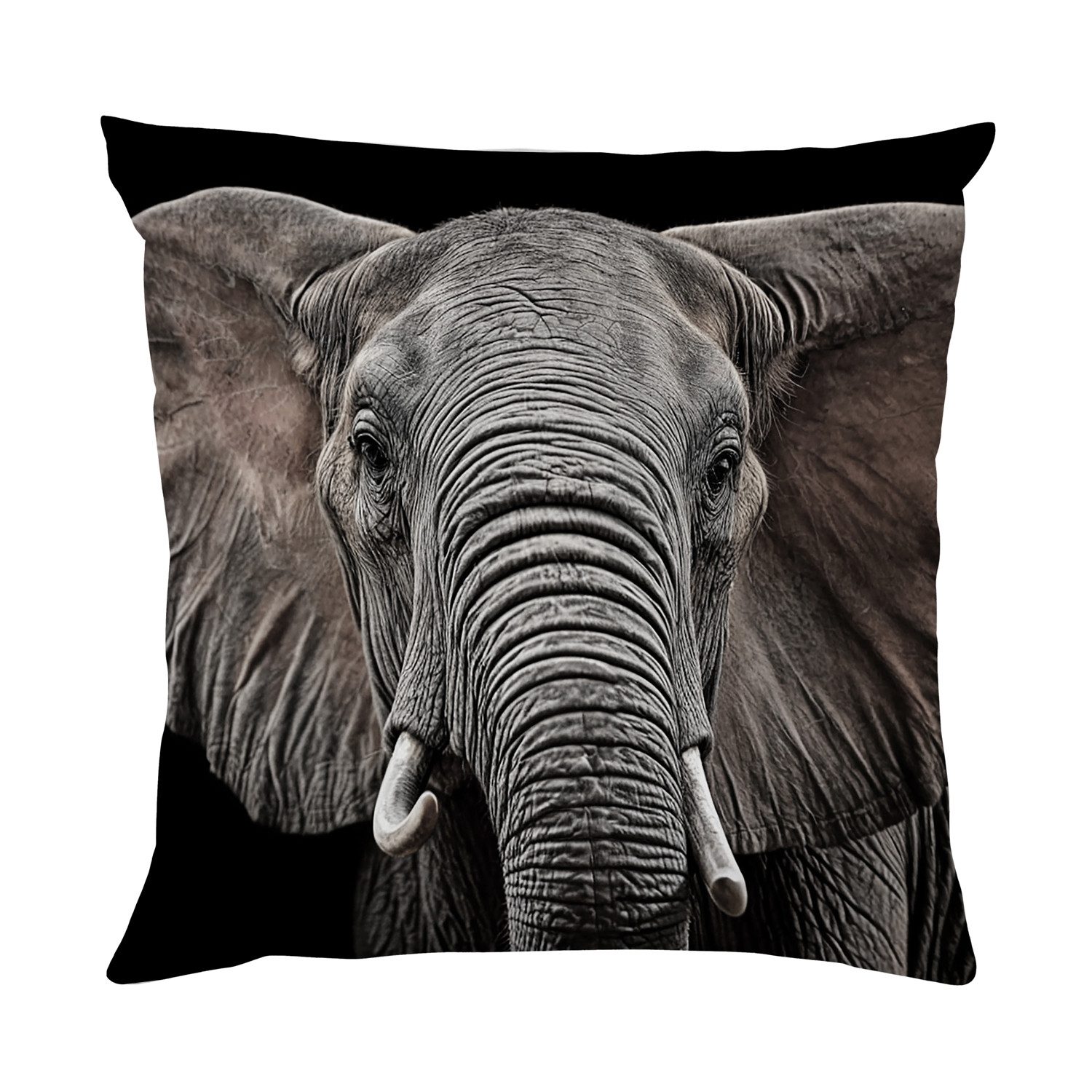 queence Dekokissen Elefant, Kissenhülle mit HD Premium Druck, geruchsneutral, 40x40cm