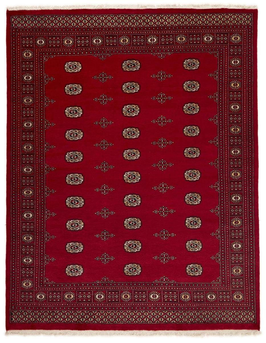 Orientteppich Pakistan Buchara 2ply 201x254 Handgeknüpfter Orientteppich, Nain Trading, rechteckig, Höhe: 8 mm
