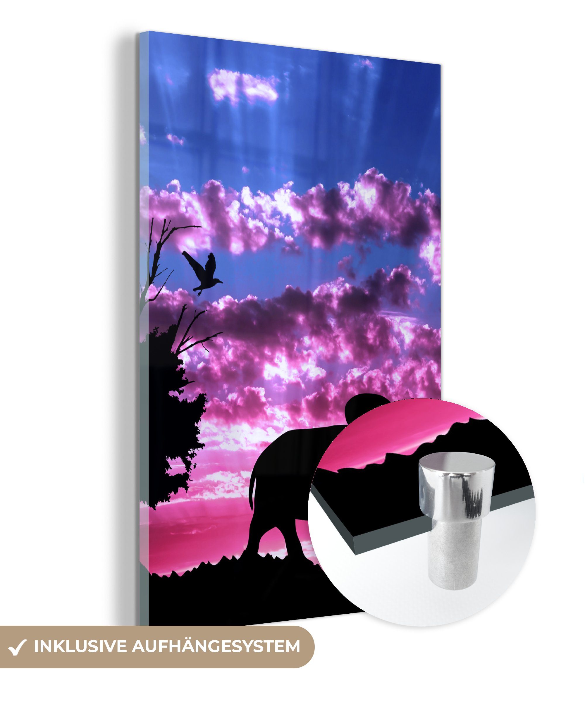 Glas auf Acrylglasbild Foto Wandbild - - - auf - Elefant Bilder - Glasbilder (1 MuchoWow - Vogel Rosa, Wanddekoration Lila Glas St),