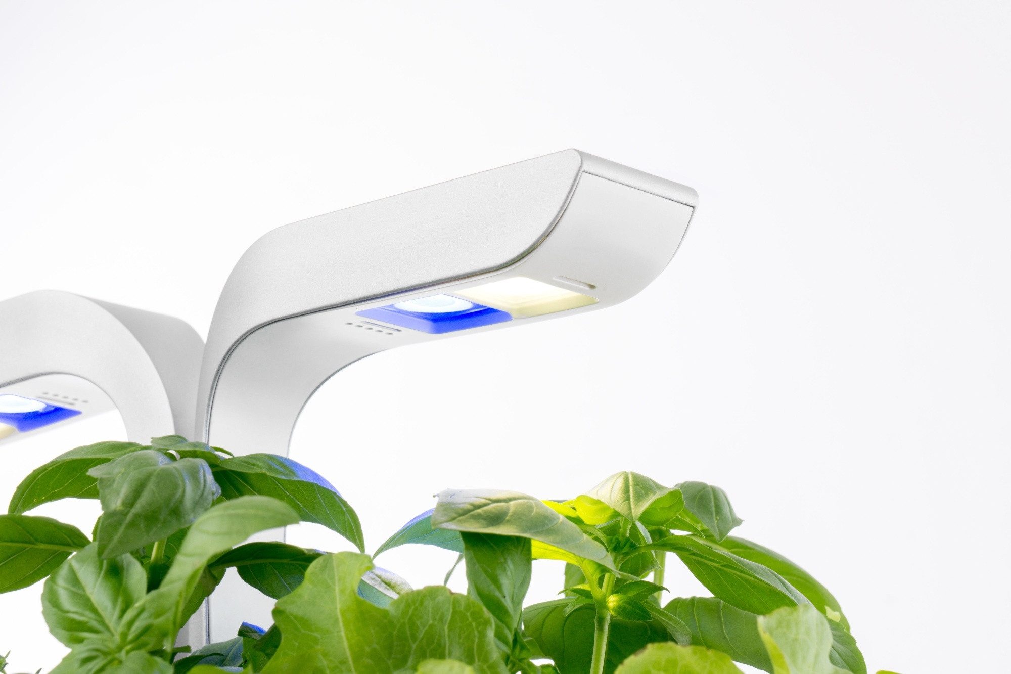 Veritable Anzuchttopf Vèritable CLASSIC (1 St)