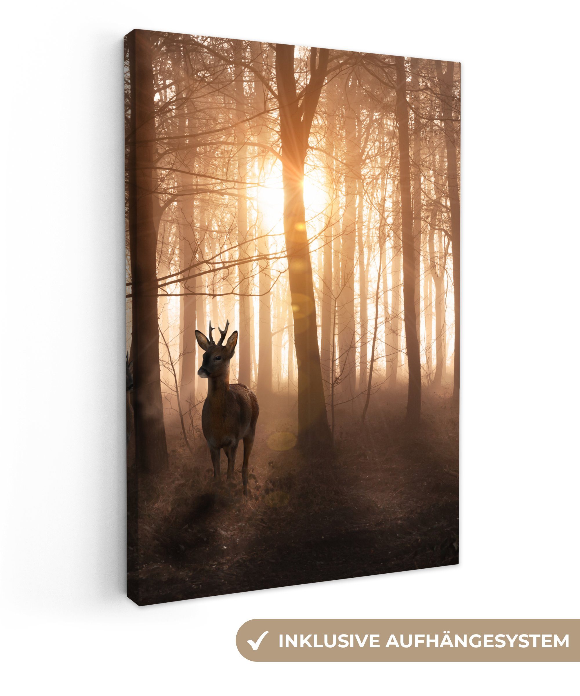 OneMillionCanvasses® Leinwandbild Wald - Hirsche - Sonne - Bäume - Winter - günstig online kaufen