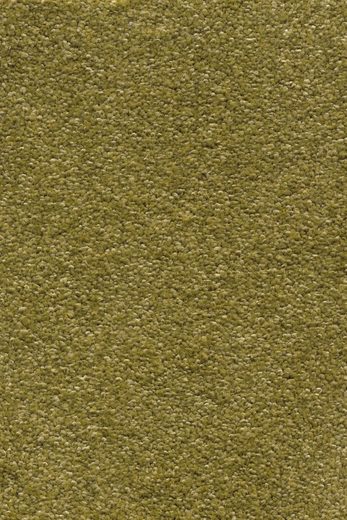 Teppichboden »Mosel«, Andiamo, rechteckig, Höhe 13,5 mm, Meterware, Breite 400 cm oder 500 cm, Uni Farben, Wohnzimmer