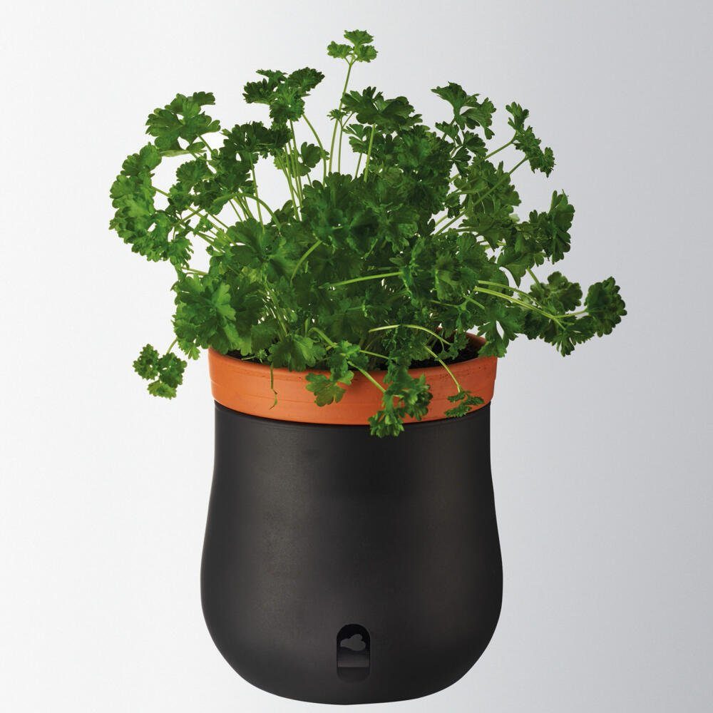 blumenstnder fr drauen Blumenstnder