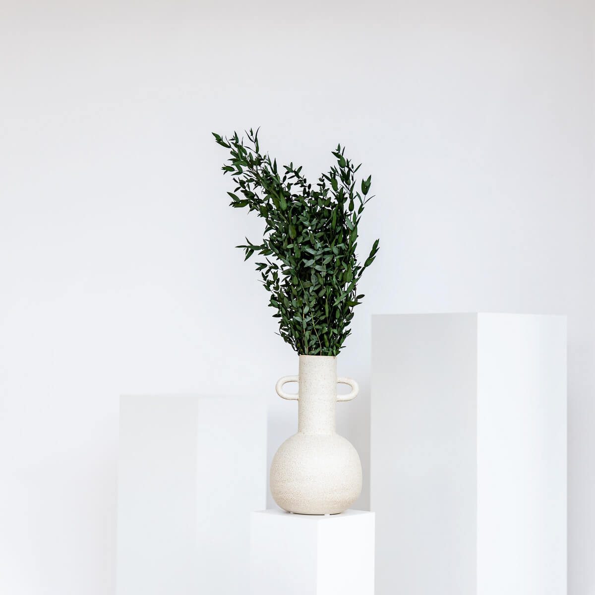 Trockenblume Eukalyptus Pavi - der Schicke, LYKKE & You