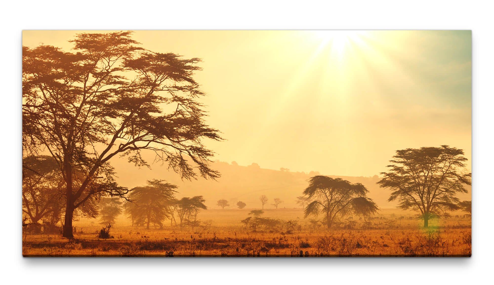 möbel-direkt.de Leinwandbild Bilder XXL Afrika Savanne 50x100cm Wandbild auf Leinwand