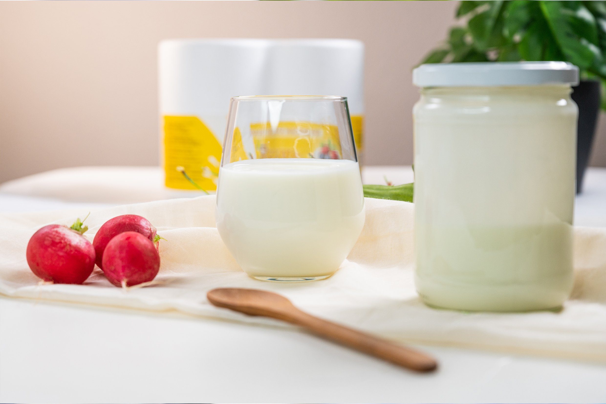 KAESE-SELBER.DE Back-Set kaese-selber.de KFB1 Kefirkultur, (1-tlg)