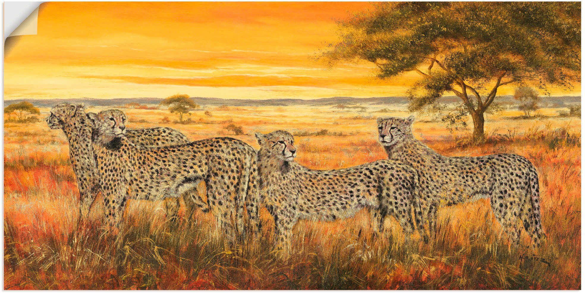 Wildtiere in Größen St), Wandaufkleber Leinwandbild, oder Artland Wandbild Poster als (1 4 Alubild, versch. Geparden,