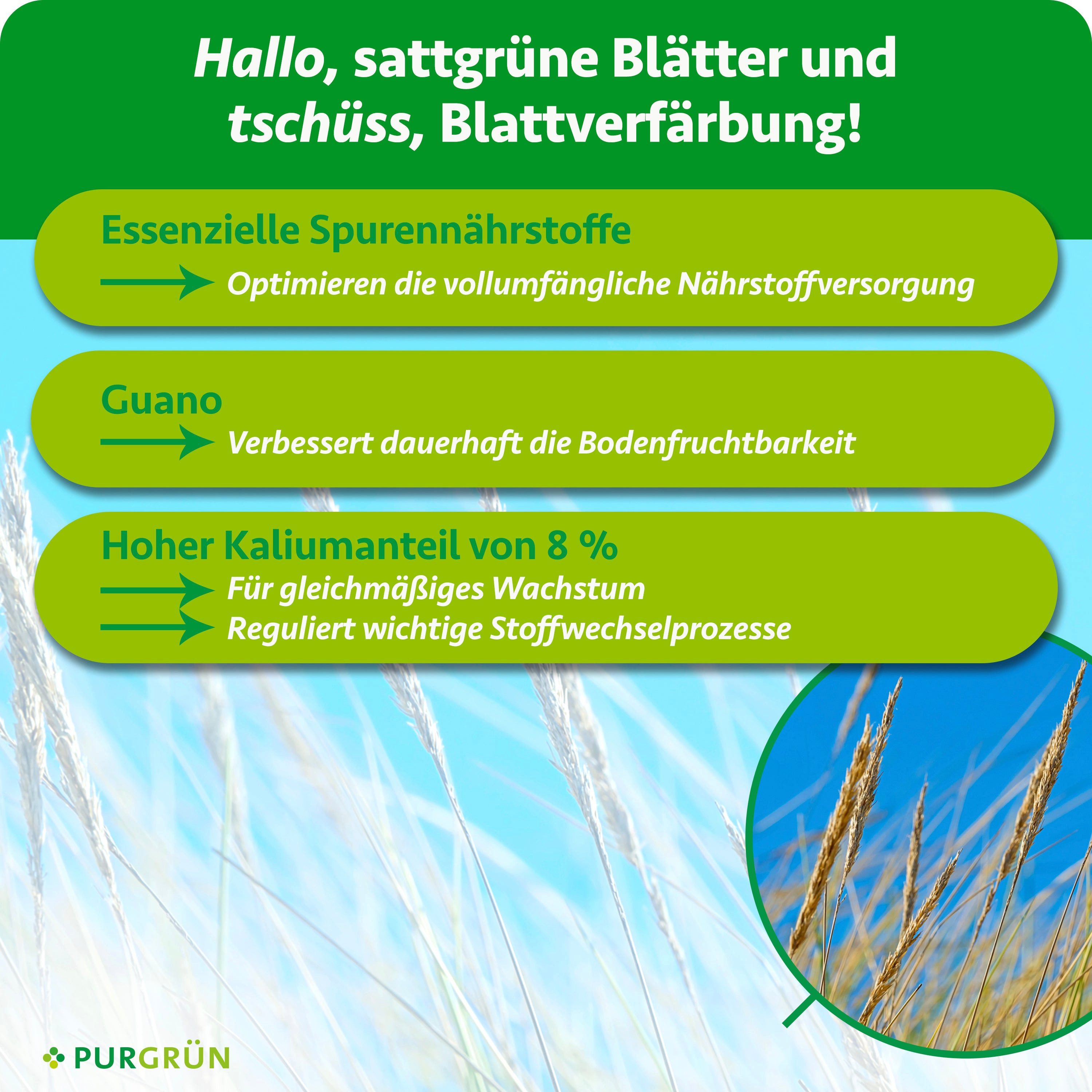 Purgrün Universaldünger Strandhafer Dünger, NPK 5+7+8, natürlicher Guano, 1 Liter, Flüssigdünger, 1-St., 1 Liter