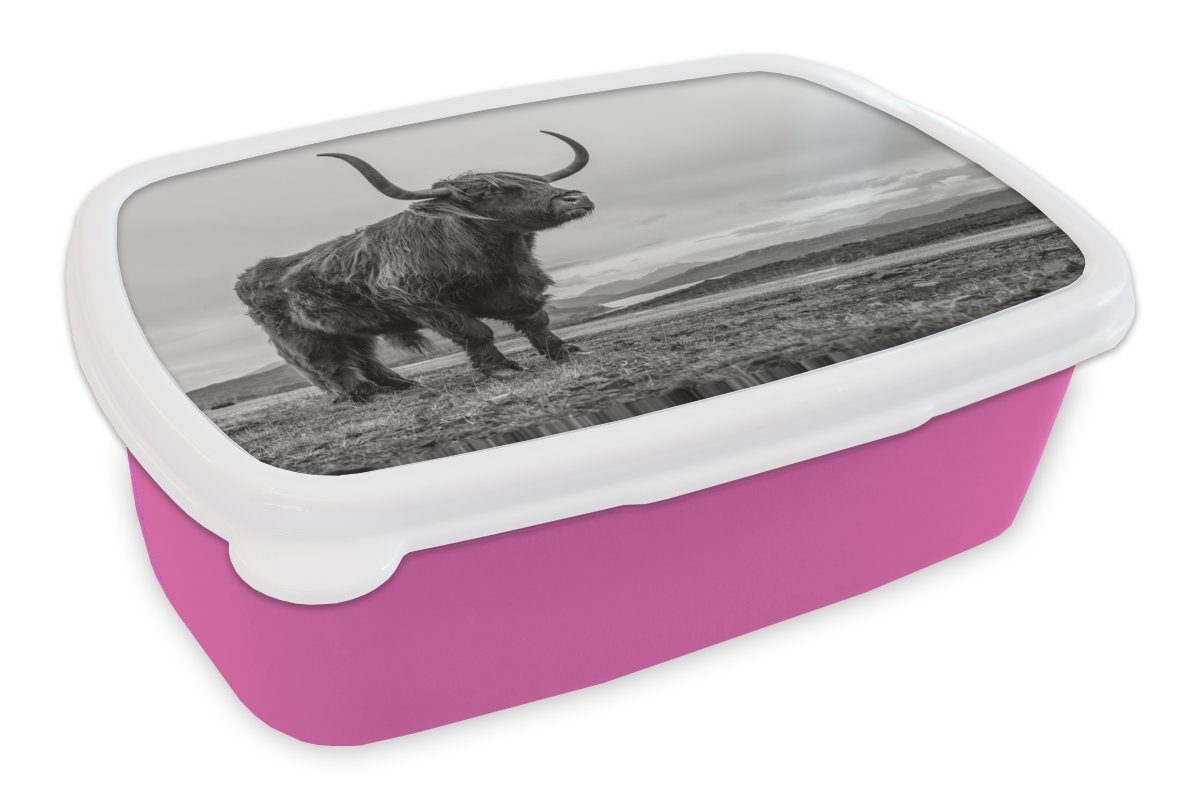 Lunchbox Hügel Snackbox, Erwachsene, Schwarz MuchoWow (2-tlg), Highlander Schottischer für Brotbox Kunststoff, Mädchen, - Kinder, Weiß, Kunststoff rosa - - Brotdose