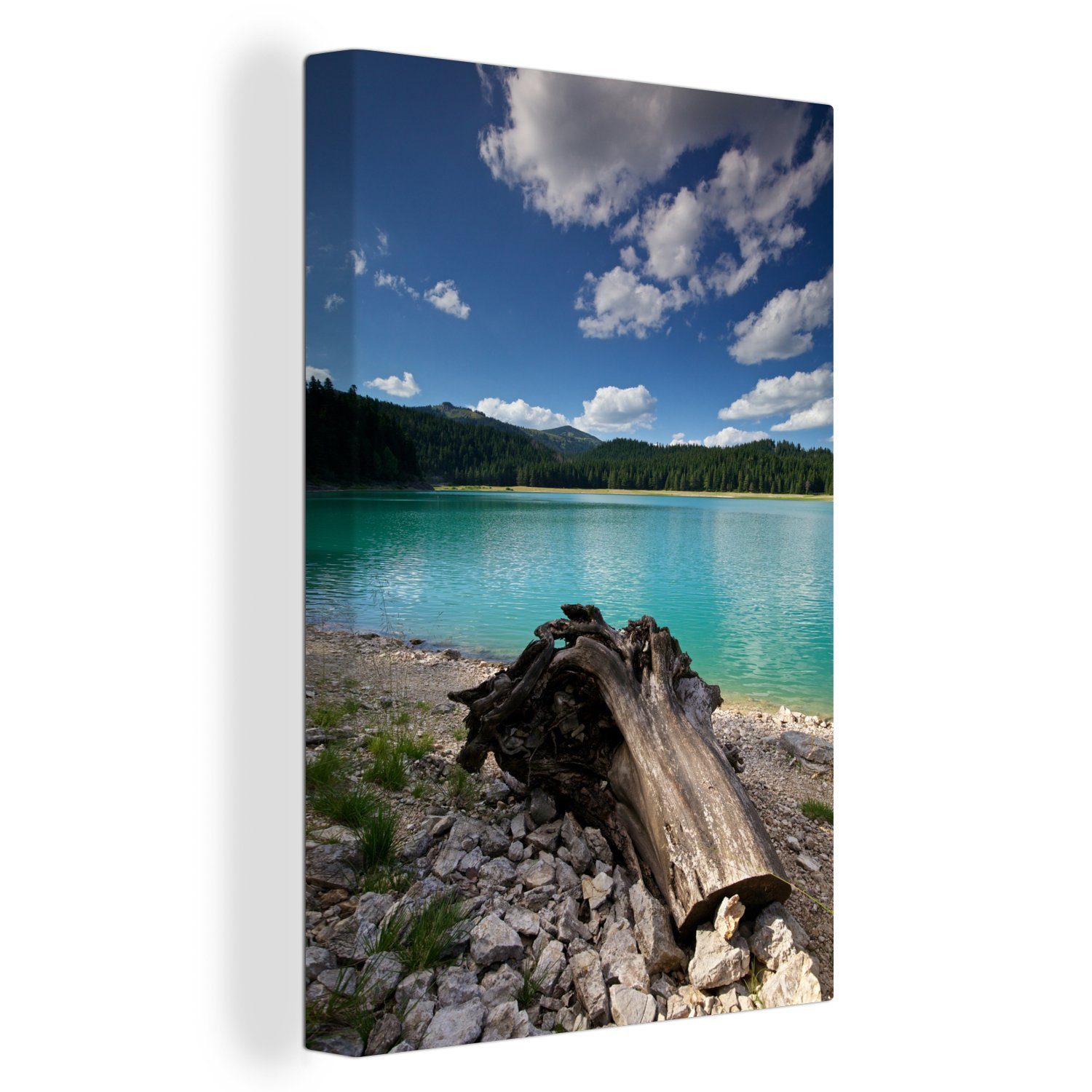 OneMillionCanvasses® Leinwandbild Stamm entlang des Sees Crno Jezero im Durmitor-Nationalpark, (1 St), Leinwandbild fertig bespannt inkl. Zackenaufhänger, Gemälde, 20x30 cm