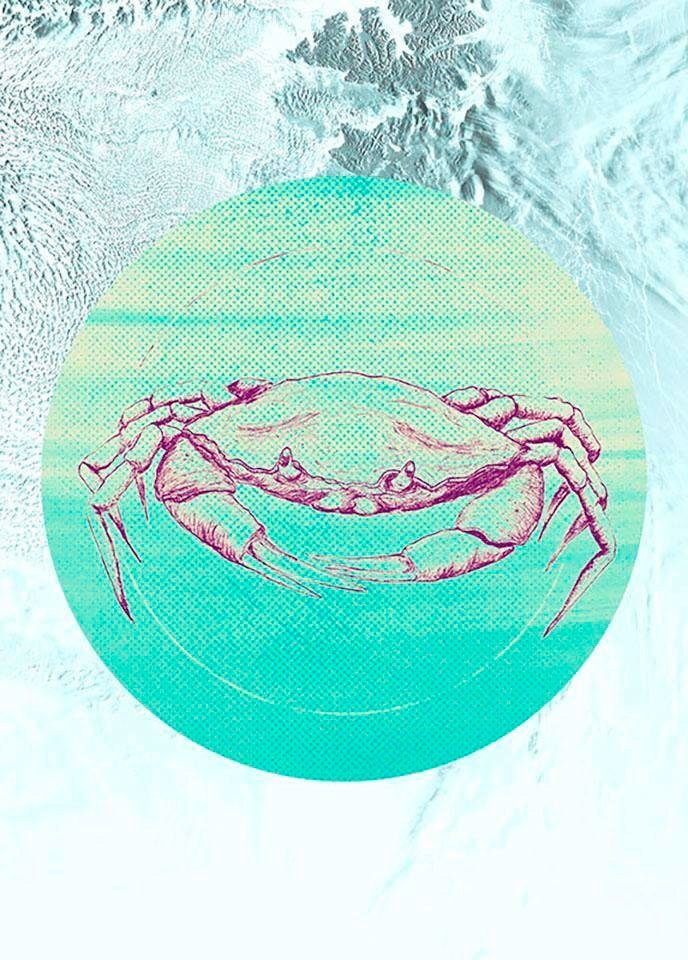 St), Kinderzimmer, Poster Komar Crab (1 Tiere Schlafzimmer, Sea, Wohnzimmer