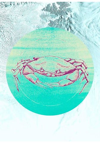 Komar Poster »Crab Sea« Tiere Höhe: 50cm