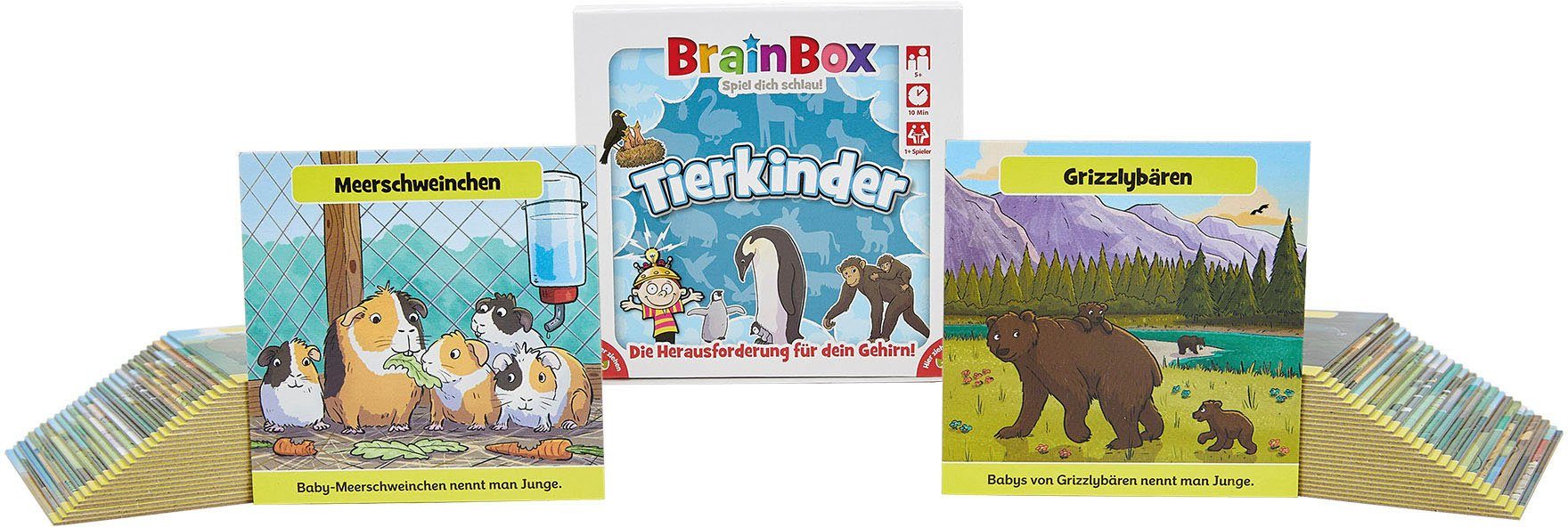 BrainBox Spiel Tierkinder