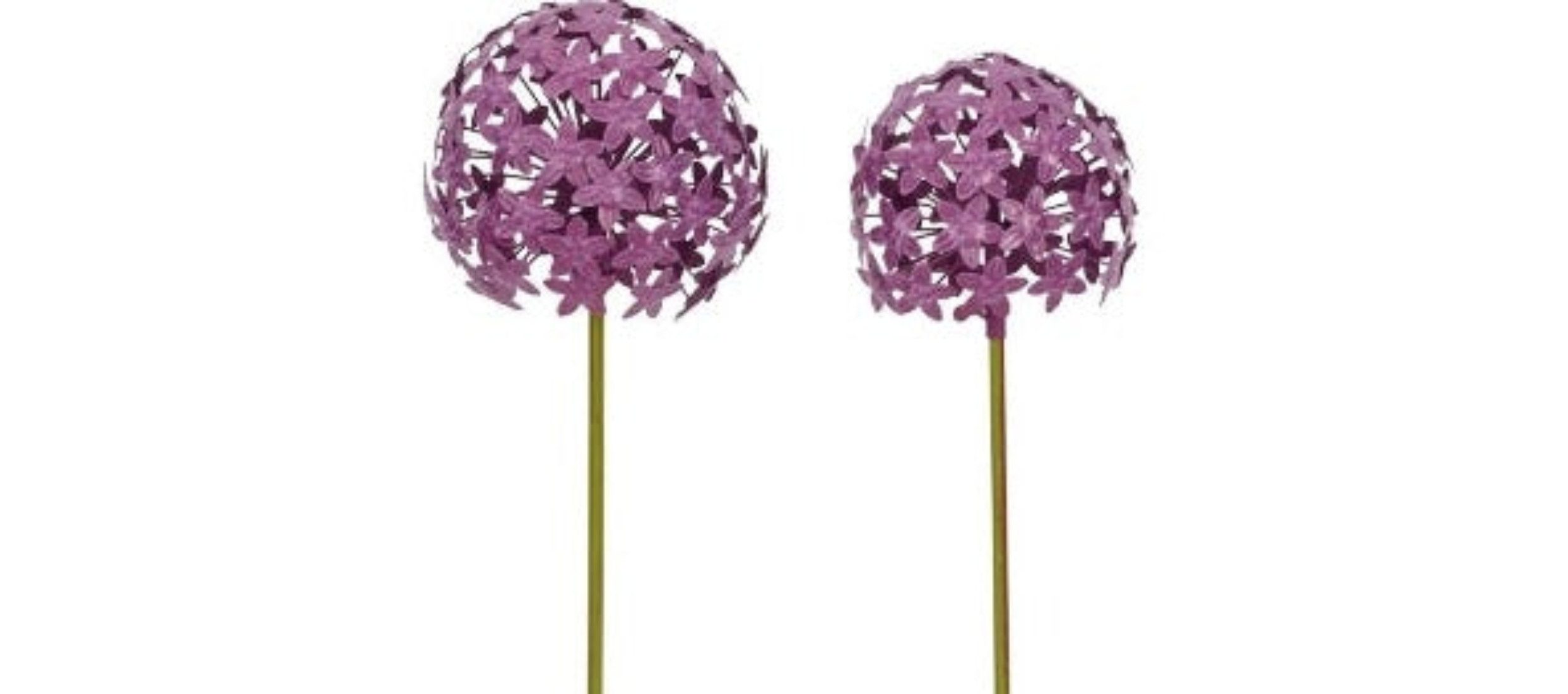 finehomegarden Gartenstecker Pflanzstecker Allium dunkellila "ArtFerro" günstig online kaufen