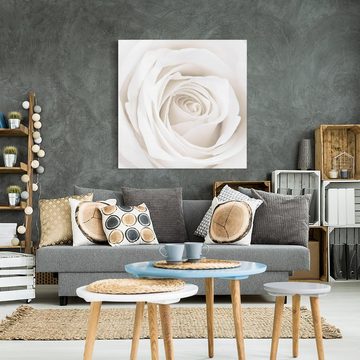 Bilderdepot24 Leinwandbild Blumen Natur Modern Rose weiss Bild auf Leinwand Groß XXL, Bild auf Leinwand; Leinwanddruck in vielen Größen