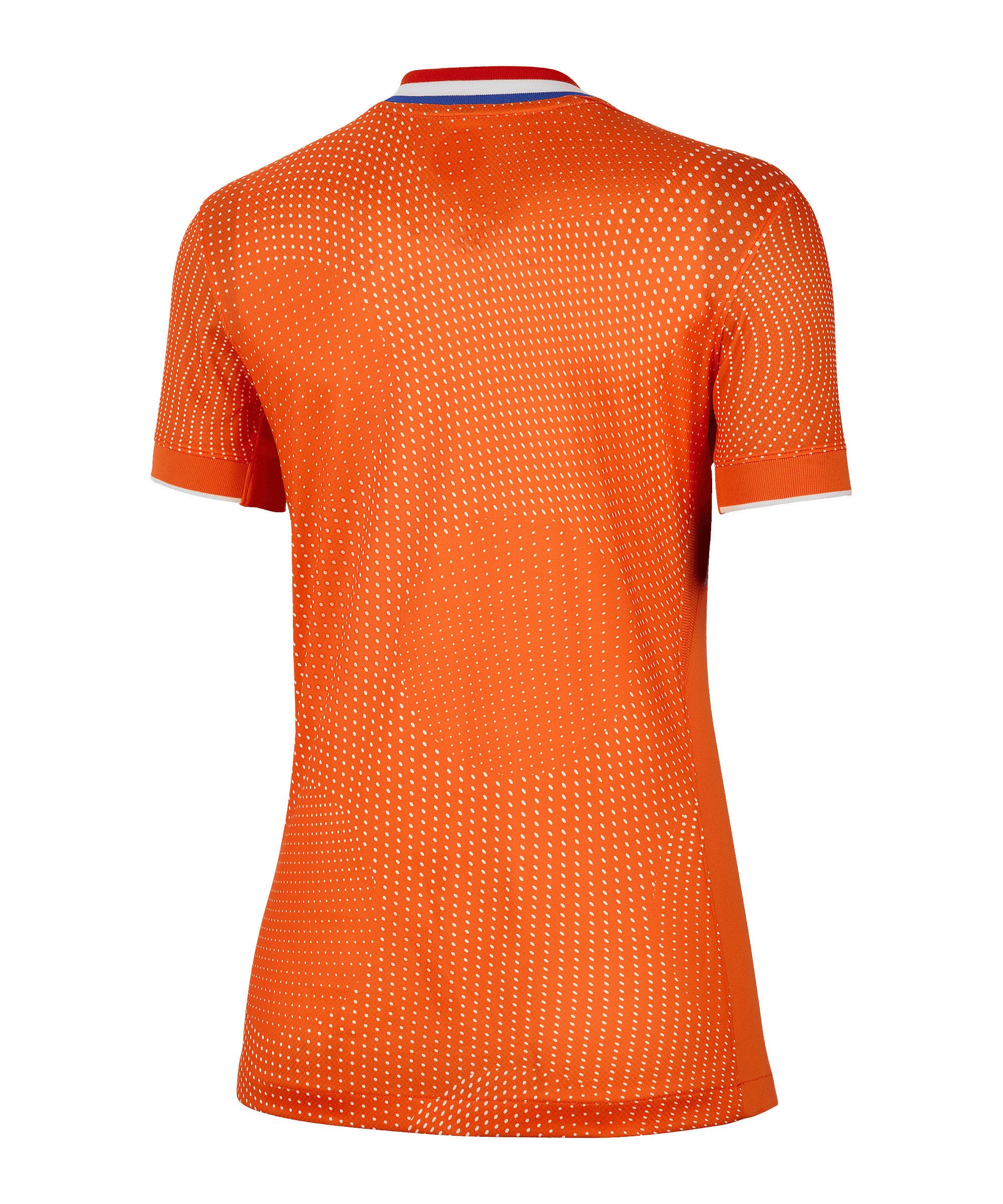 Nike Fußballtrikot Nike Performance Teamsport