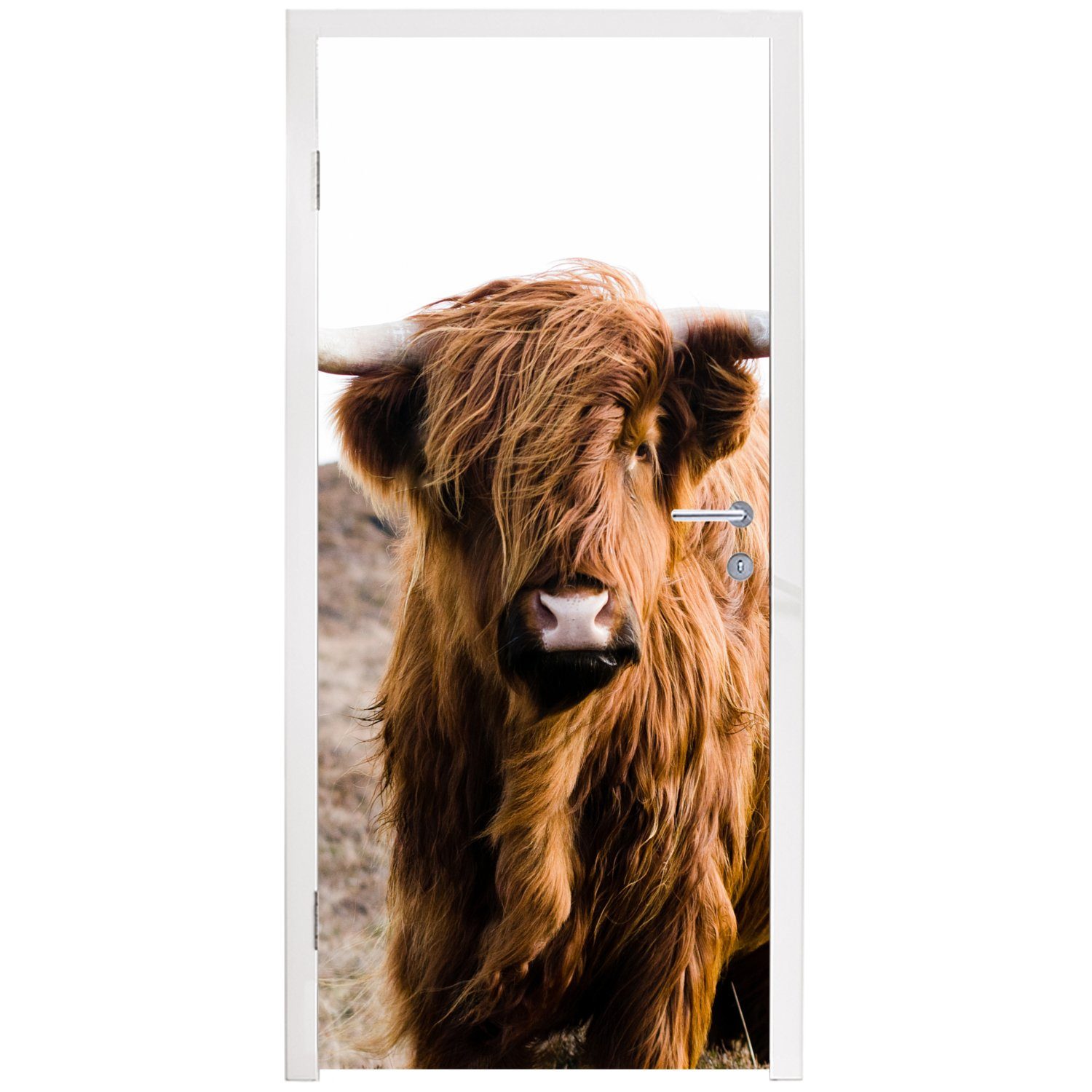Türaufkleber, Tiere Türtapete Kuh für - - 75x205 MuchoWow bedruckt, - Natur, (1 Tür, St), Braun - Highlander cm - Matt, Fototapete Landschaft Schottische