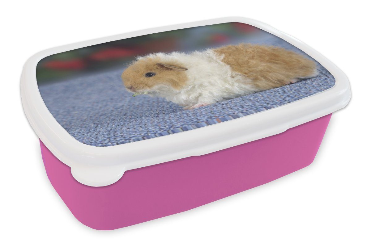 MuchoWow Lunchbox (2-tlg), für Texel-Meerschweinchen, Snackbox, Brotbox Brotdose Kunststoff Erwachsene, Kunststoff, rosa Mädchen, Kinder