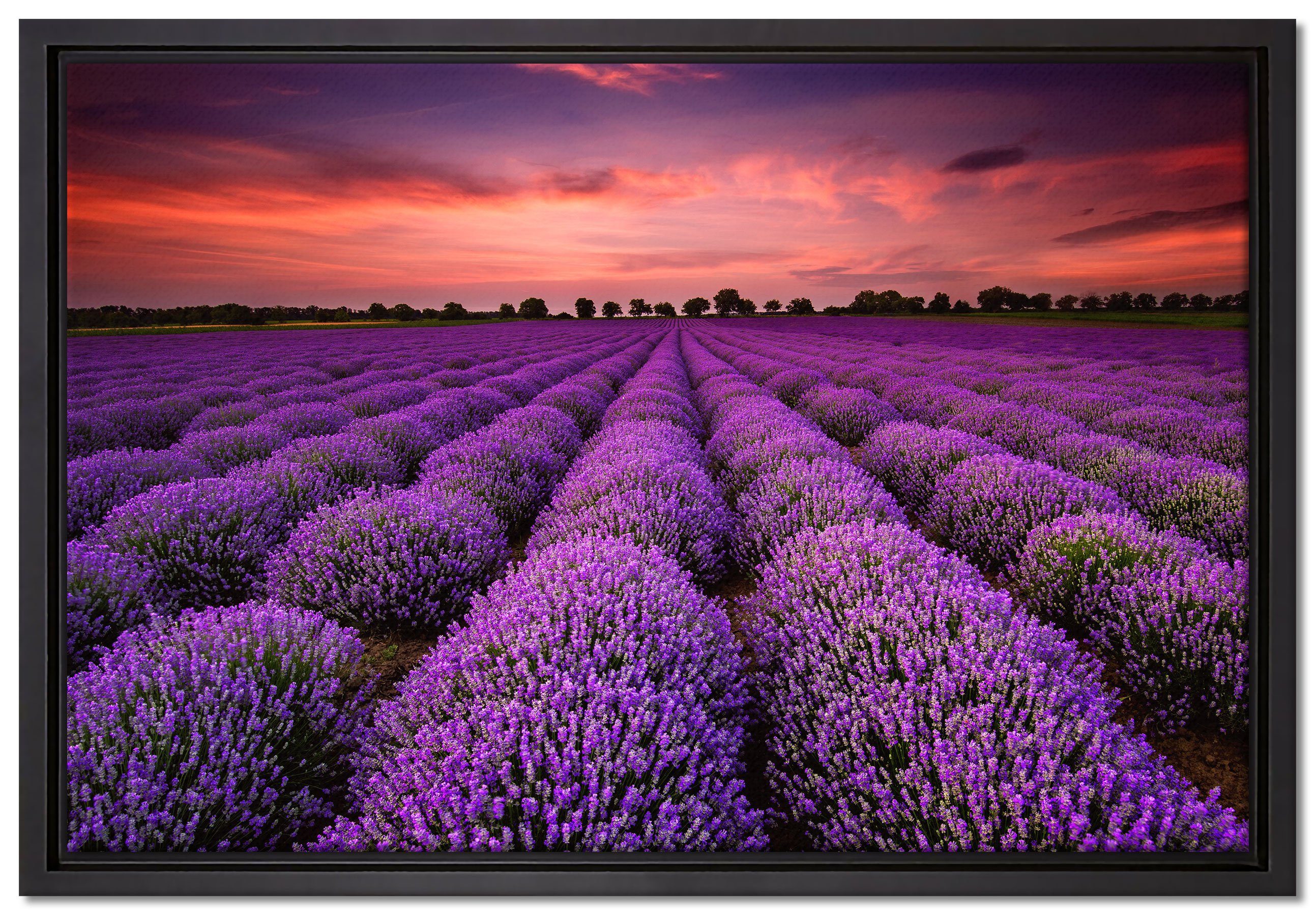Pixxprint Leinwandbild Wunderschöne Lavendel Provence, Wanddekoration (1 St), Leinwandbild fertig bespannt, in einem Schattenfugen-Bilderrahmen gefasst, inkl. Zackenaufhänger