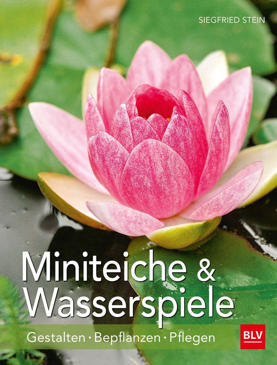 Miniteiche und Wasserspiele Gestalten - Bepflanzen - Pflegen / Siegfried Stein