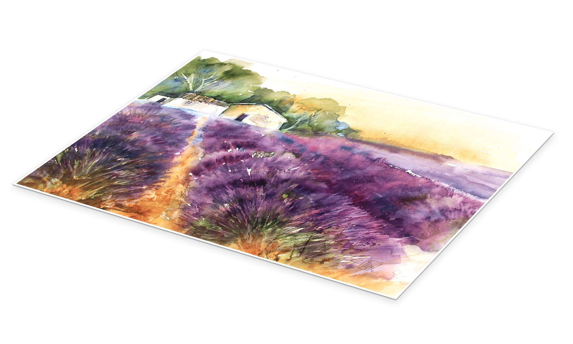 Posterlounge Wandbild Lavendelfeld in der Provence, Eckard Funck, erhältlich als Poster, Leinwandbild, Wandsticker oder Acrylglasbild