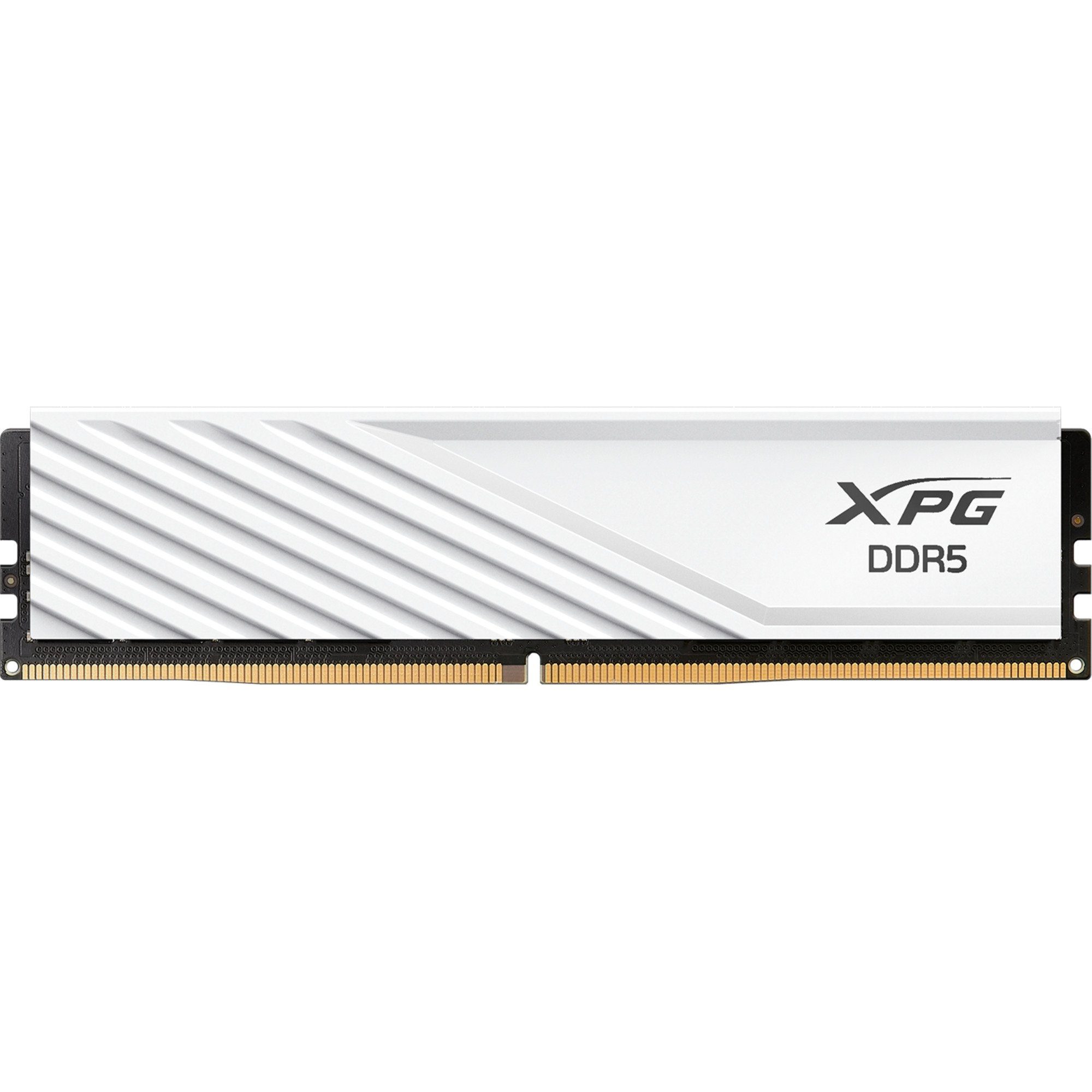 ADATA DIMM 16 GB DDR5-6000, Arbeitsspeicher Arbeitsspeicher