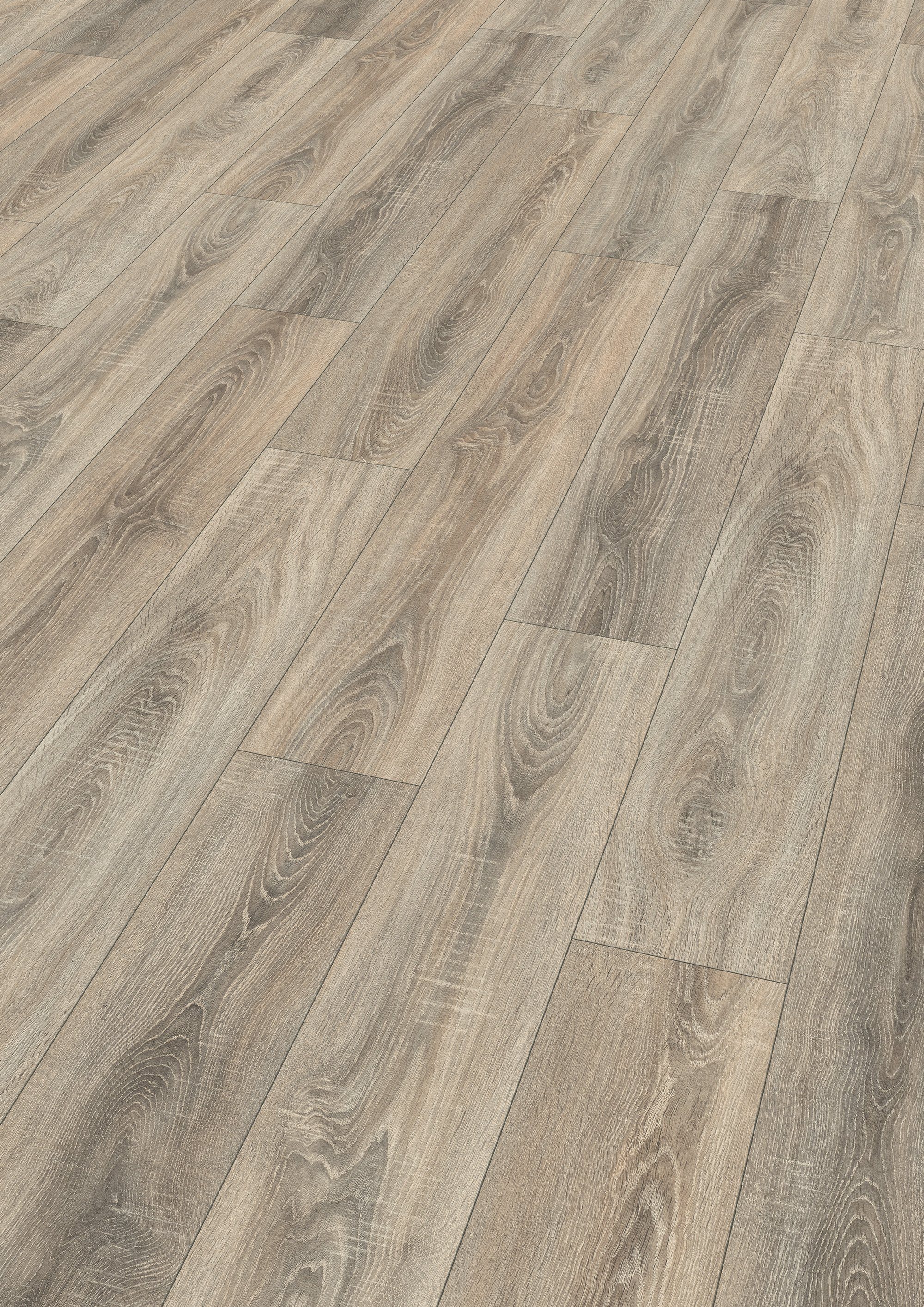 EGGER Laminat EHL189 Toscolano Eiche hellgrau, günstig online kaufen