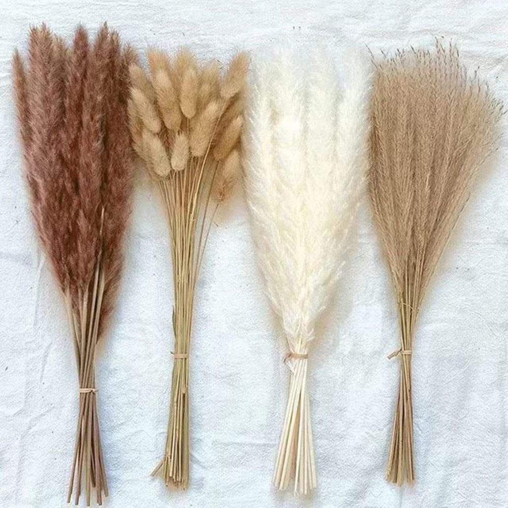 Trockenblume für Hochzeits-Boho-Blumen und Tischdekoration zu günstig online kaufen