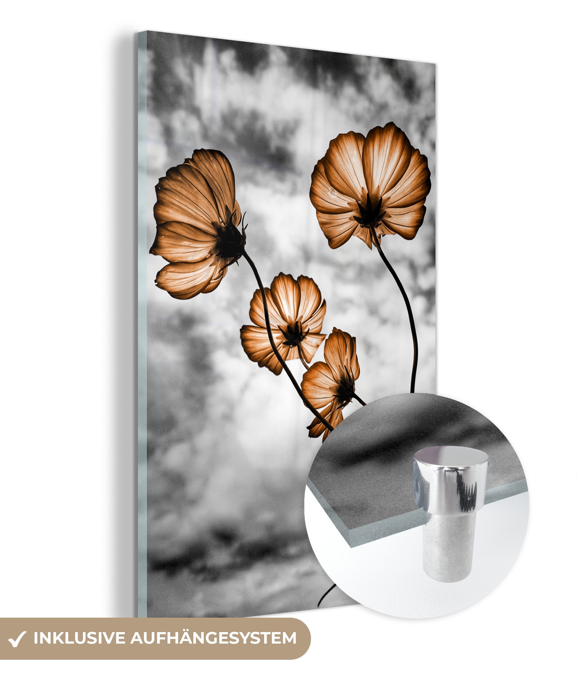 (1 MuchoWow - Glas auf Foto Bilder Glas Schwarz Braun Blumen Glasbilder - auf St), Wandbild Acrylglasbild - - Weiß, Wanddekoration - -