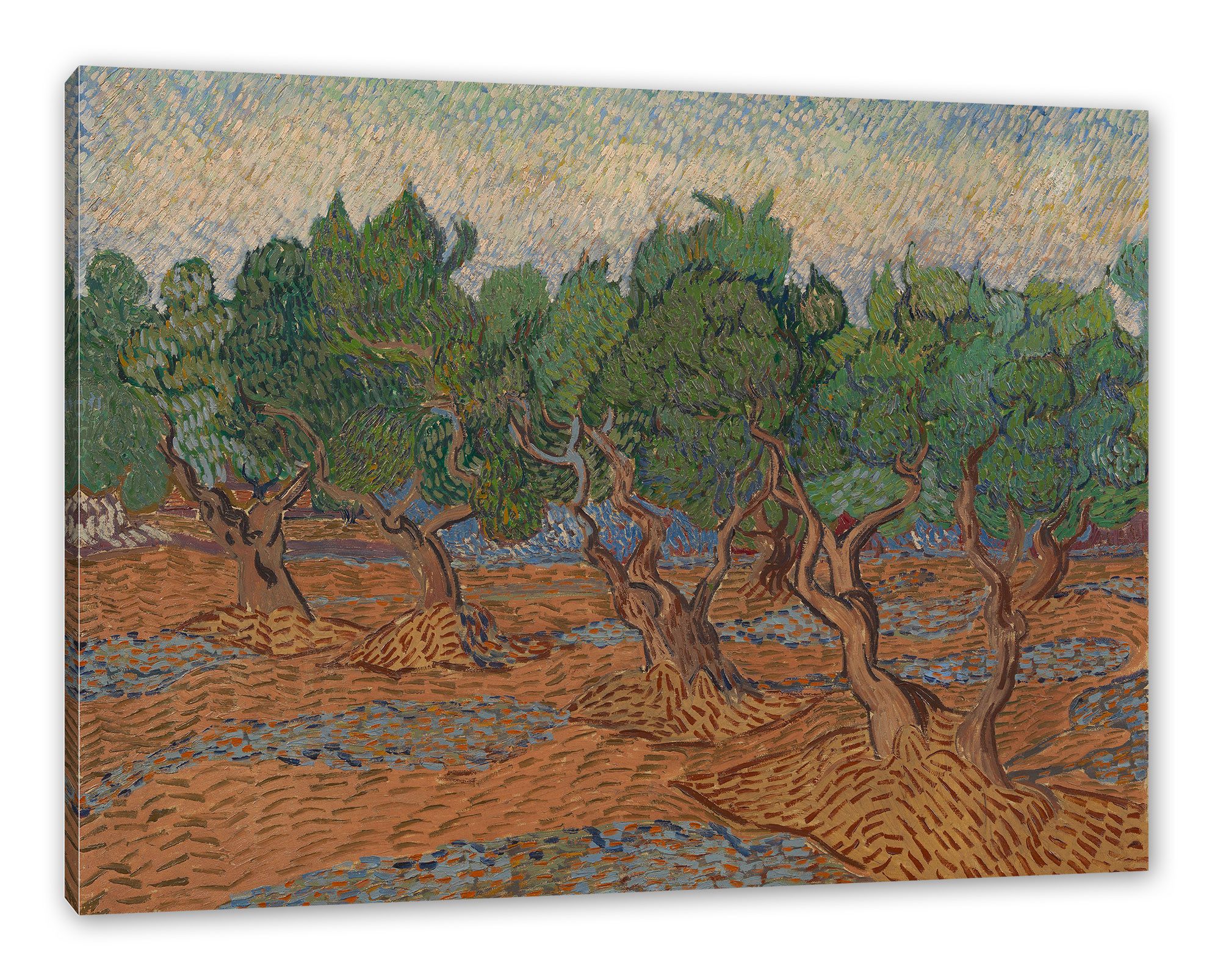 Pixxprint Leinwandbild Vincent Van Gogh - Oliven-Hain, Vincent Van Gogh - Oliven-Hain (1 St), Leinwandbild fertig bespannt, inkl. Zackenaufhänger