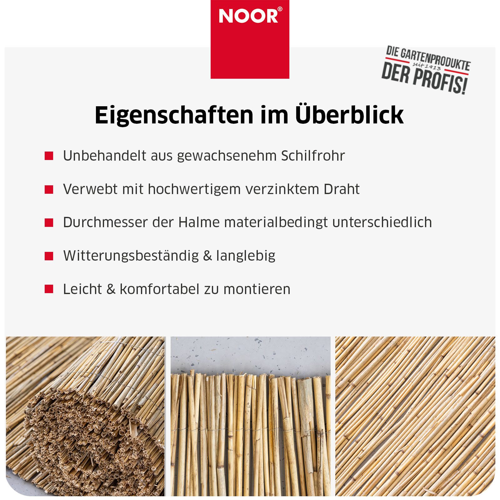 NOOR Sichtschutzzaunmatten Schilfrohrmatte ST. TROPEZ - naturnaher Sichtschutz, Schilfrohr mit Draht verwoben - verschiedene Größen – Bild 5 von 5