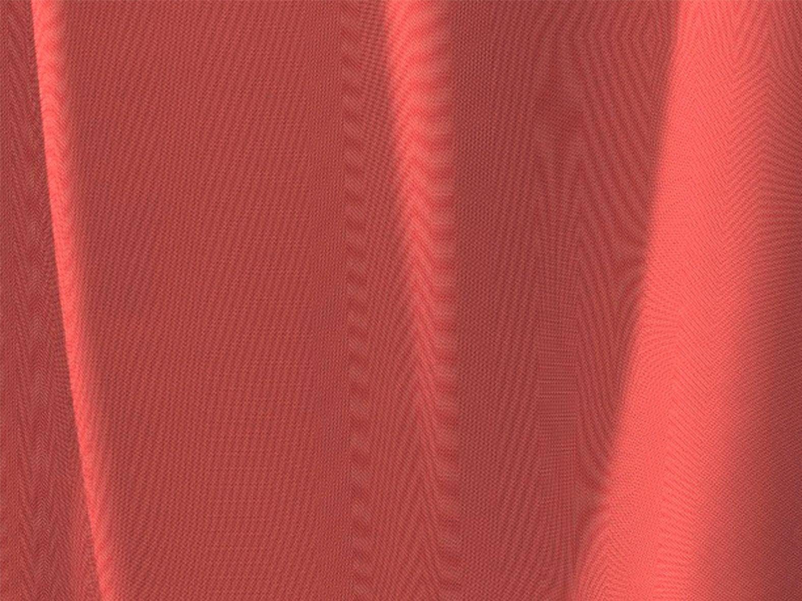 Vorhang Uni Light Collection, Adam, Kräuselband rot St), blickdicht (1