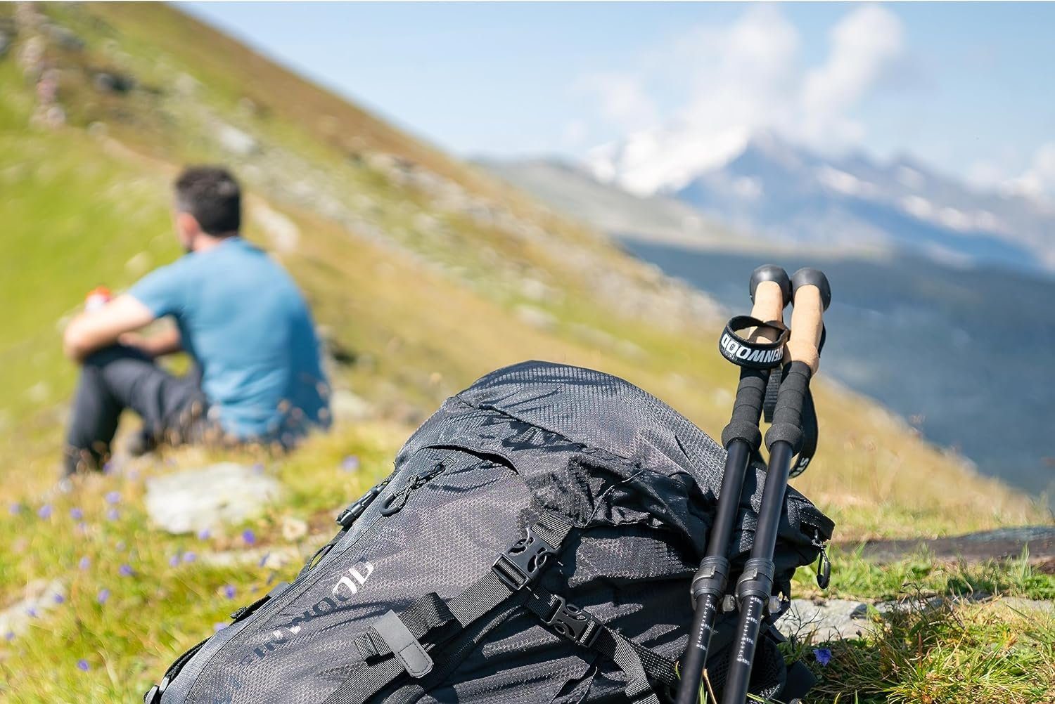 Steinwood Wanderstöcke Aluminium - Trekkingstöcke - leicht, verstellbar mit Teleskop und Kle… – Bild 4 von 5
