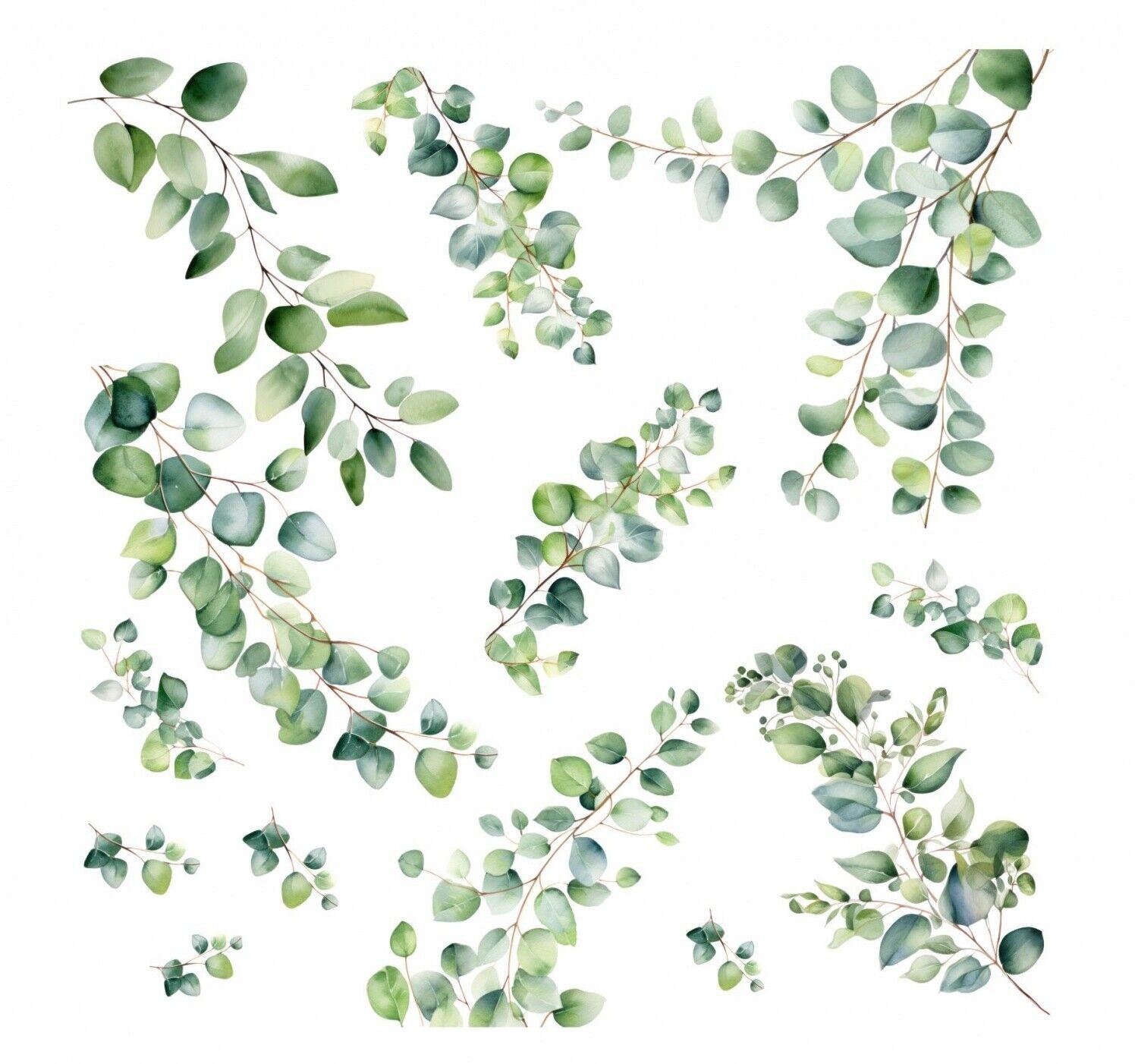 nikima Wandtattoo 261 Wandtattoo Eukalyptus Ranken günstig online kaufen