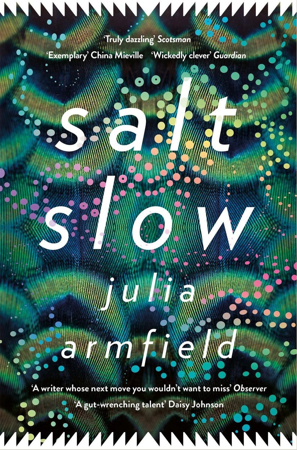 Salt Slow / Julia Armfield