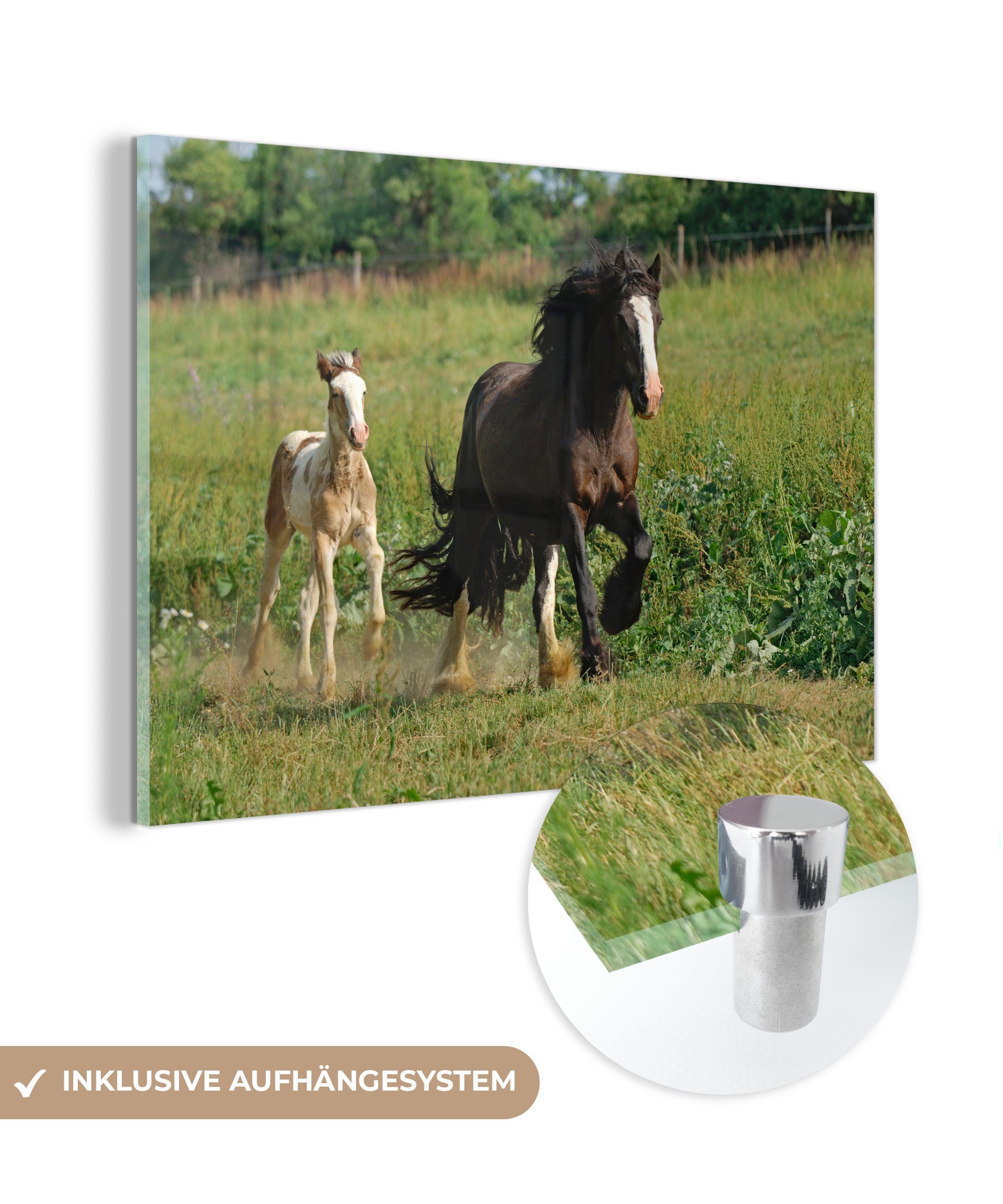 MuchoWow Acrylglasbild Pferde - Basteln - Natur, (1 St), Acrylglasbilder Wohnzimmer & Schlafzimmer