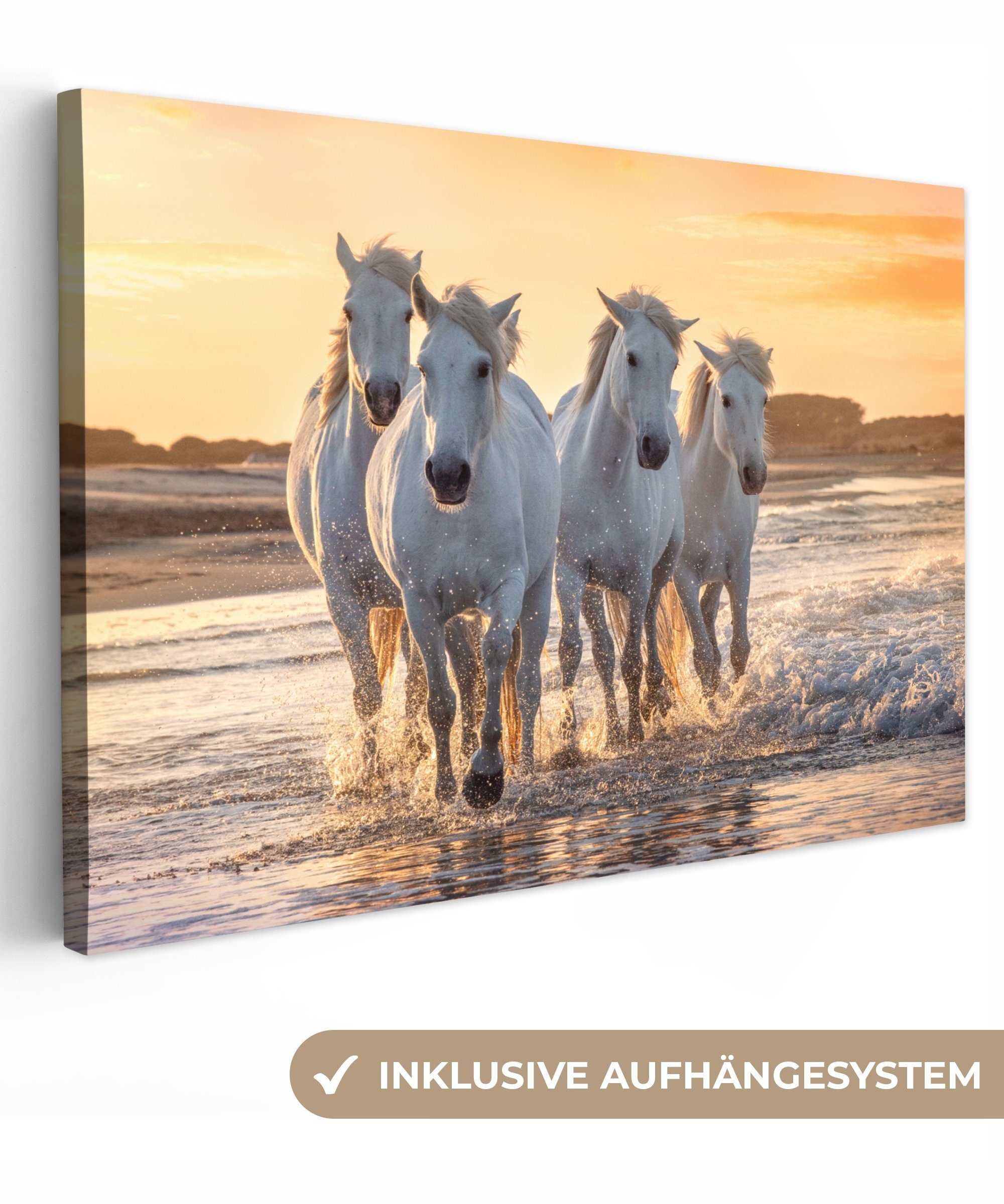 OneMillionCanvasses® Leinwandbild Pferde - Wasser - günstig online kaufen