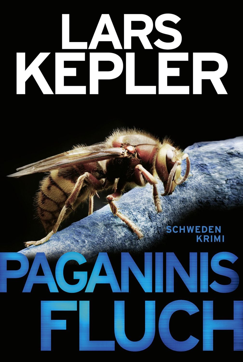 Belletristik Paganinis Fluch Schweden-Krimi Lars Kepler