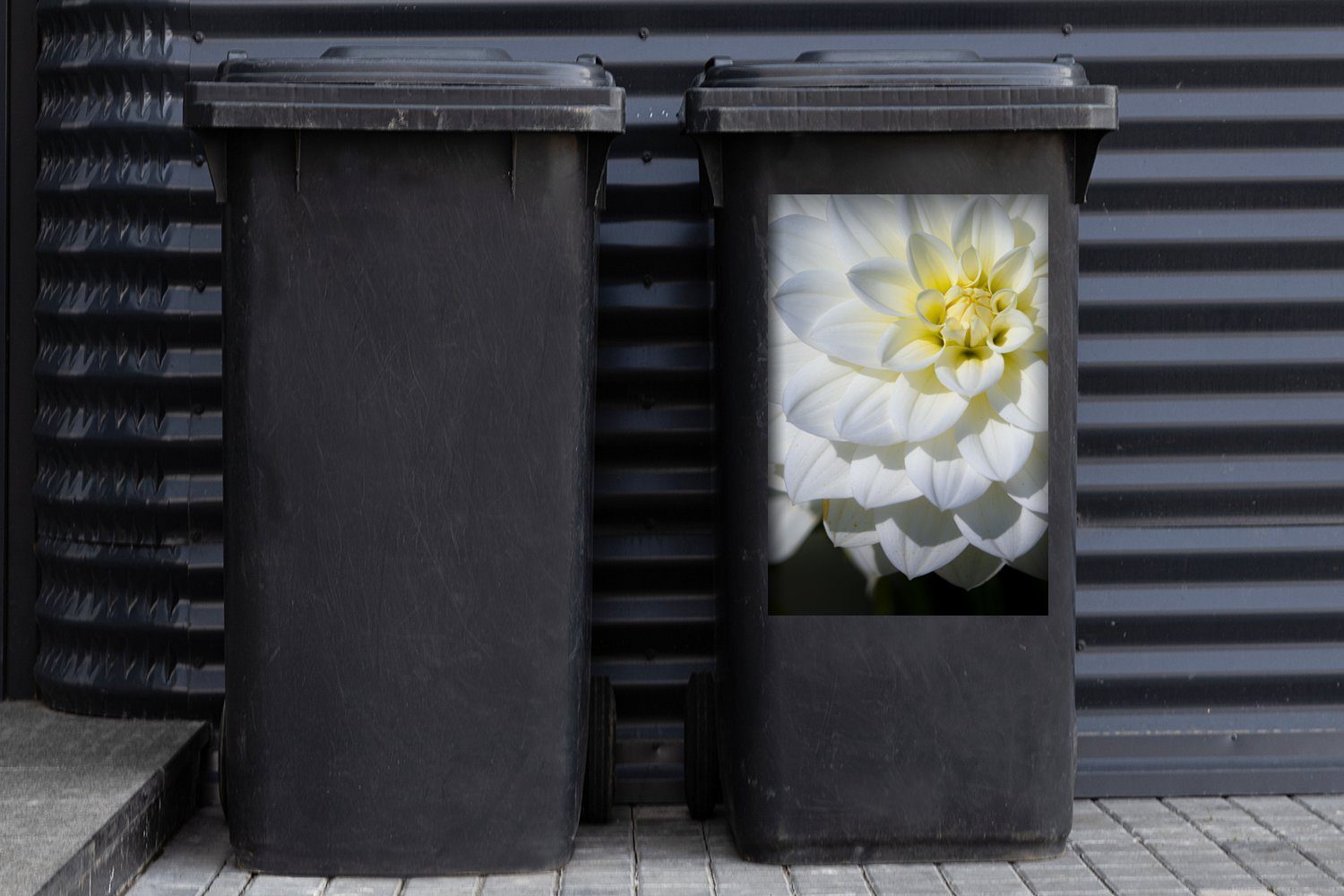 MuchoWow Wandsticker Mülltonne, Abfalbehälter Blumen (1 Mülleimer-aufkleber, Sticker, St), Blütenblätter Weiß - - Container