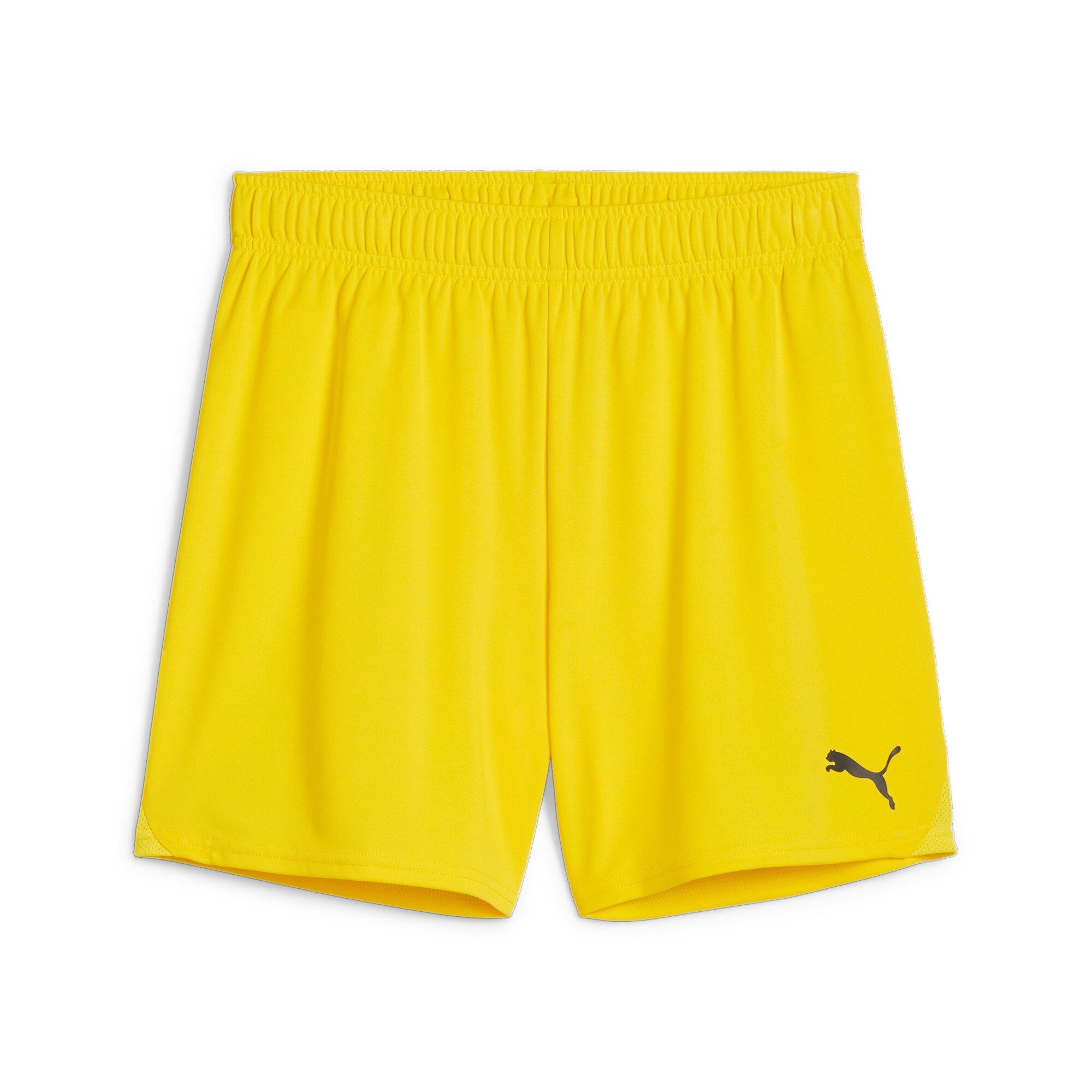 Trainingsshorts Puma Damen Short teamGOAL Shorts Wmns 705754