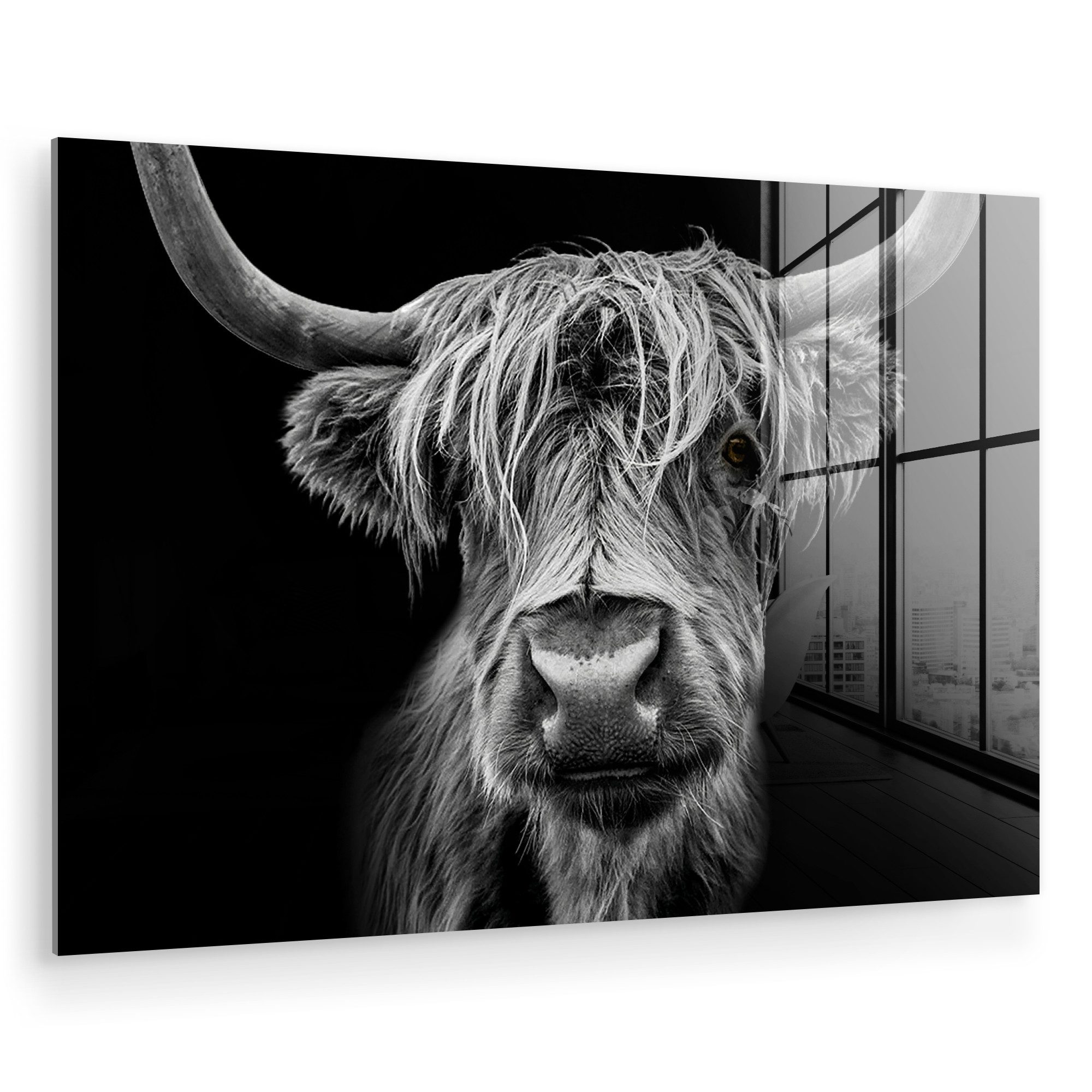 MuchoWow Acrylglasbild Schottischer Highlander - Hörner günstig online kaufen